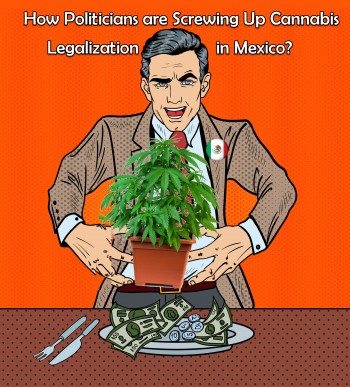 How Politicians are Screwing Up Cannabis Legalization in Mexico (Sound Familiar?)