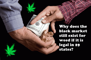 How Can The Black Market For Weed Exist If It Is Legal In 29 States?