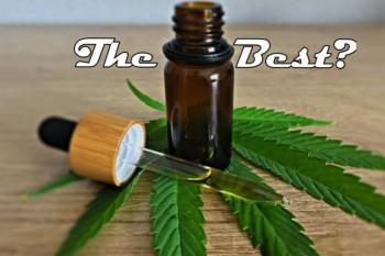 Which CBD Oil is the Best?