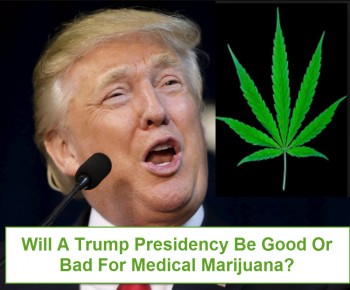 Will A Trump Presidency Kill Medical Marijuana?