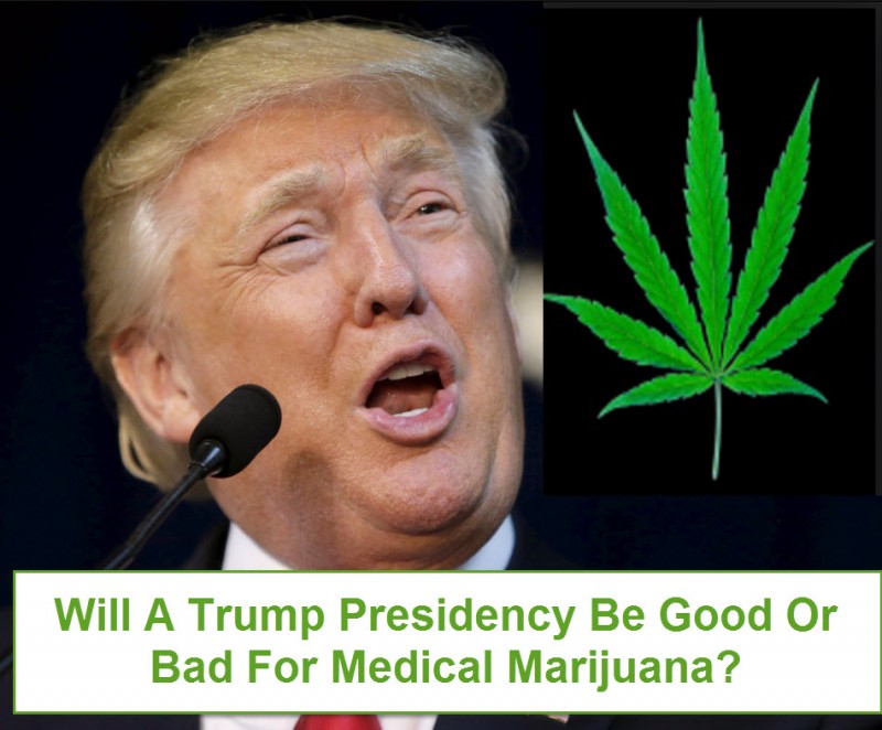 Trump and Weed