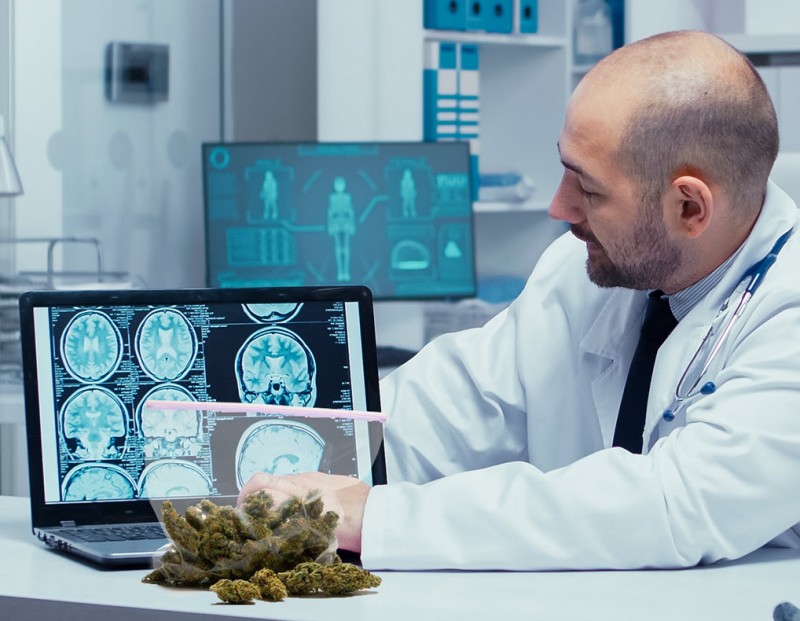 oncology and cannabis