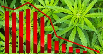 Colorado Cannabis Sales Hit a New Low Not Seen Since February of 2017 - The Cannibalization of the Cannabis Consumer