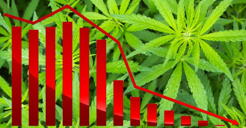 Colorado cannabis sales drop