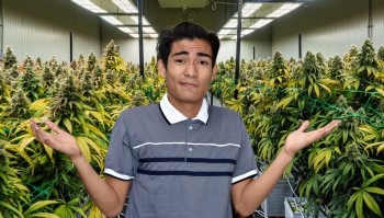 The Thailand Flip-Flop on Cannabis Continues - Weed Won't Be Made Illegal, Again, Just Regulated Differently This Time Around