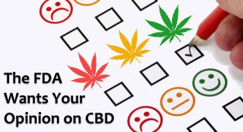 The FDA Wants To Hear Your Opinion on CBD