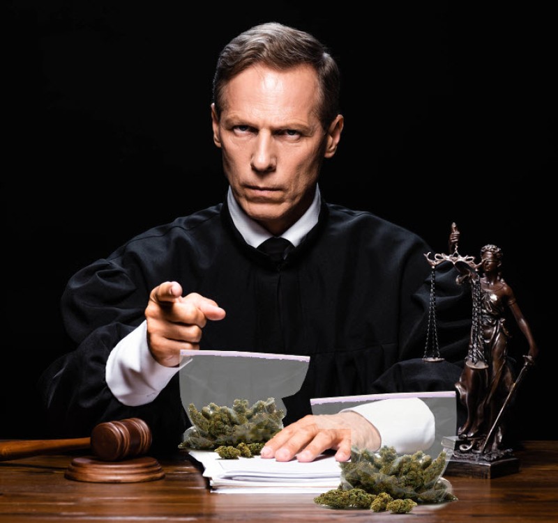 man in court weed