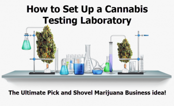 How to Set Up a Cannabis Testing Laboratory - The Ultimate Pick and Shovel Marijuana Business Idea!