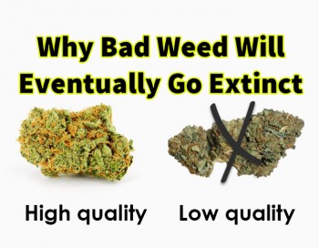 Why Bad Weed Will Eventually Go Extinct