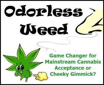 Odorless Weed - Game Changer for Mainstream Cannabis Acceptance or Cheeky Gimmick?