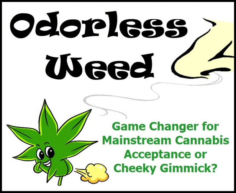odorless cannabis