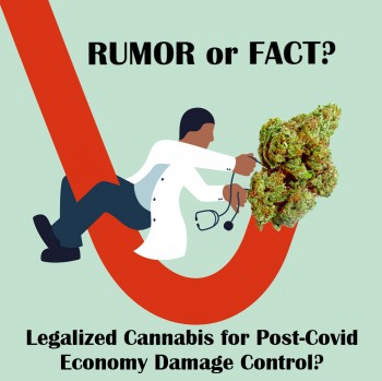 Rumor or Fact: Legalized Cannabis for Post-Covid Economy Damage Control?