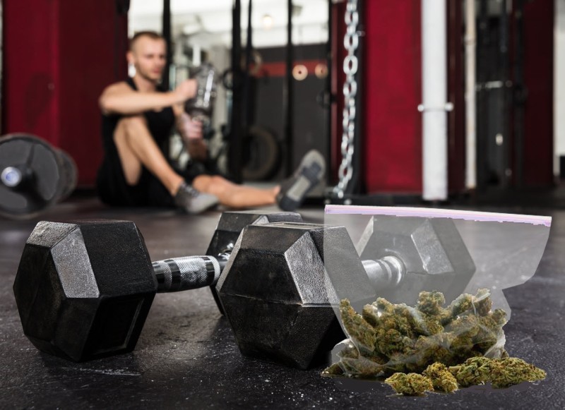 cannabis exercise recovery
