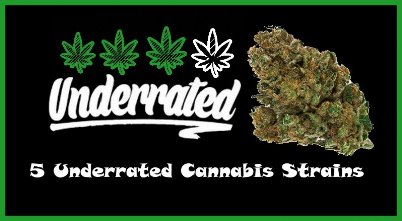 underrated cannabis strains
