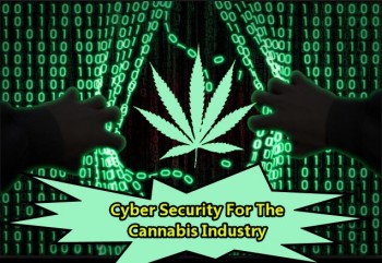 Cyber Security For The Cannabis Industry - Keep Your Business Safe From Hackers