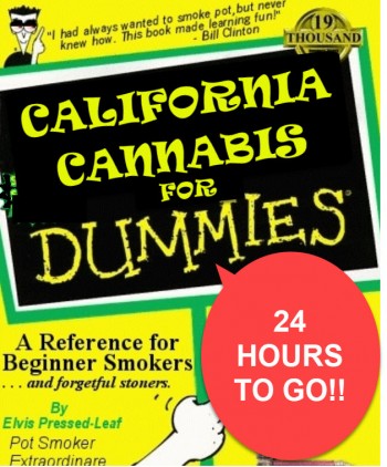CALIFORNIA CANNABIS FOR DUMMIES - WHAT YOU NEED TO KNOW FOR TOMORROW