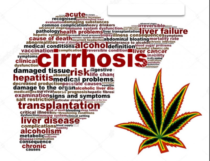 cannabis and cirrhosis