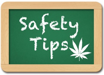 Safety Tips For Growing Marijuana