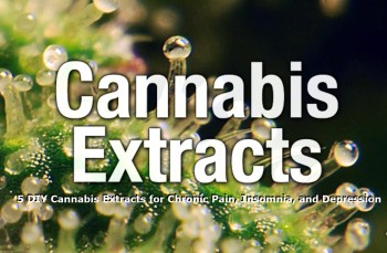 5 DIY Cannabis Extracts for Chronic Pain, Insomnia, and Depression