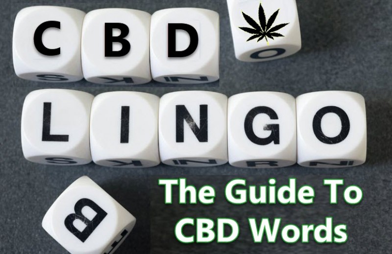 CBD words and phrases