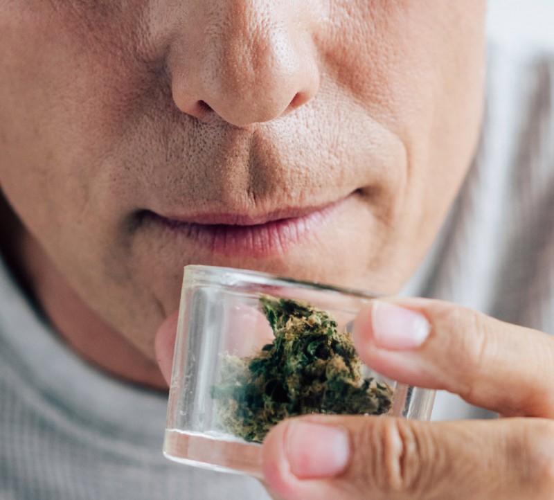 advantages of smelling marijuana before you buy it
