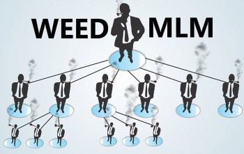Cannabis and MLM - Can They Work Together Someday?
