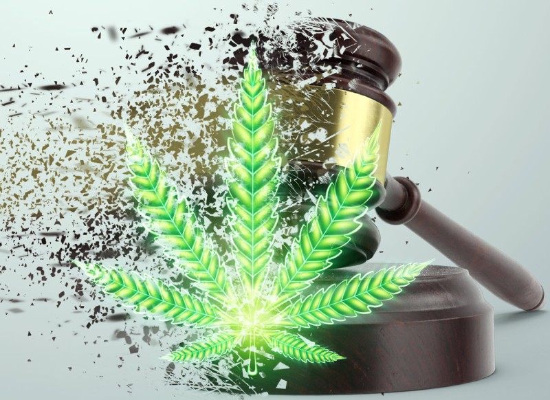 new cannabis laws