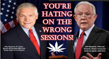 Hey Cannabis Fans, You’re Hating On The Wrong Sessions!