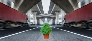 American Roads Are Safer Than Ever Post Legalization - New Study Shows Decrease in Heavy Truck Accident Rates Since Legalization