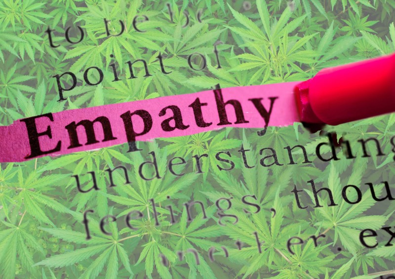 empathy and cannabis users