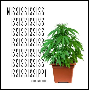 M.i.s.s....i.s.s...i.p.p.i Marijuana - Mississippi Becomes 37th State to Legalize Medical Cannabis