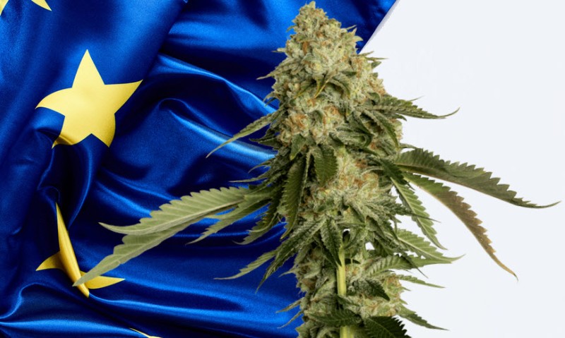 European cannabis legaglization