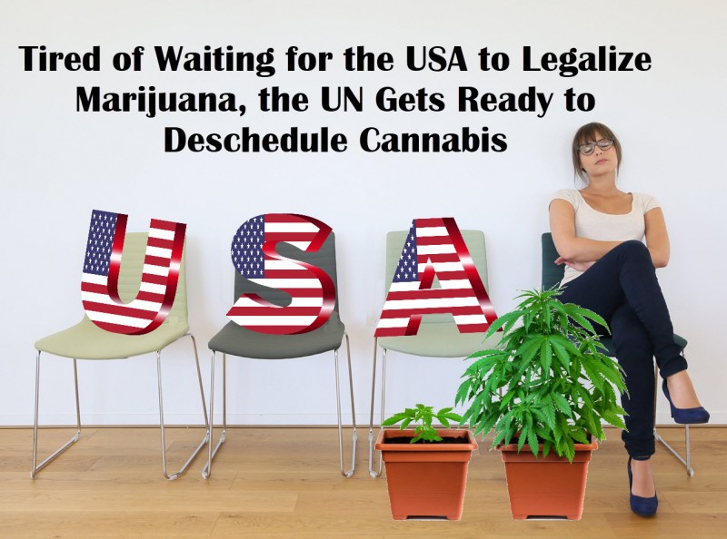 The UN Deschedules Cannabis