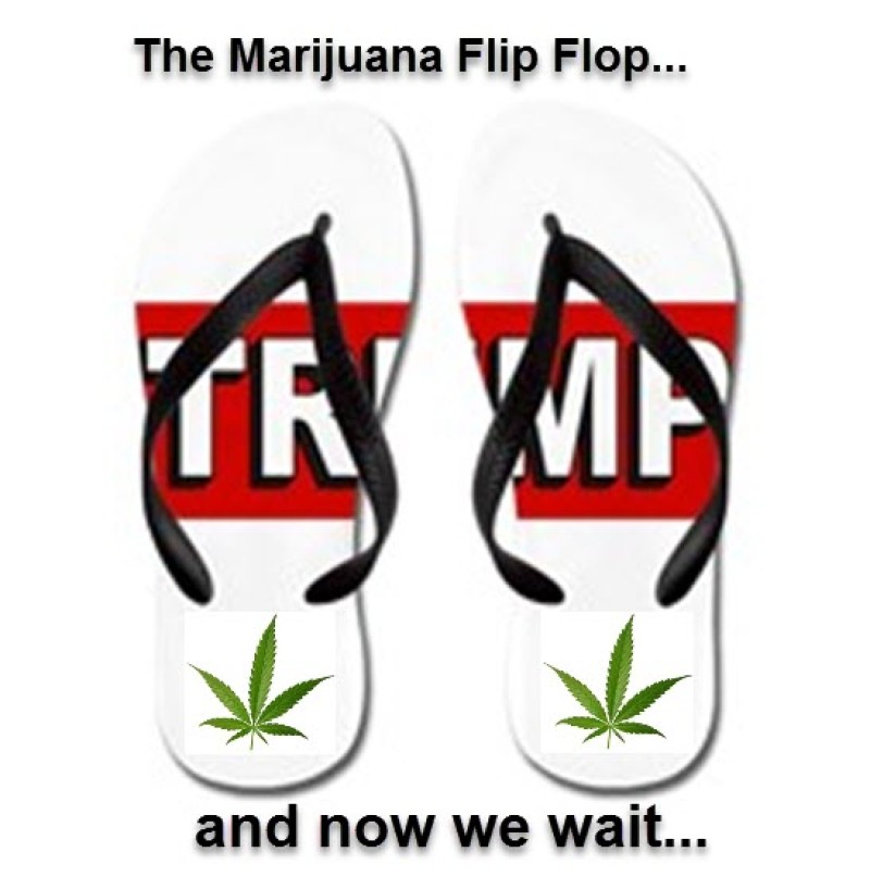 The Marijuana Flip Flop
