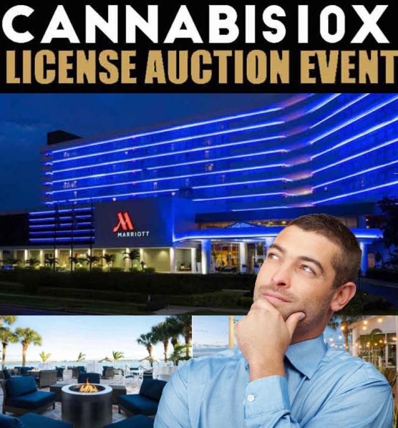 cannabis license auction