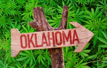 2,600 Dispensaries and 9,000 Grow Licenses Later, Oklahoma Starts Cracking Down on Cannabis
