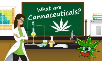 What are Cannaceuticals? (The Great Cannabis Medicine Race)