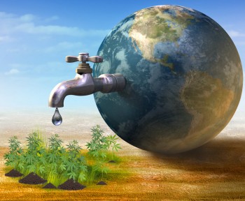 Growing Marijuana Plants in a Drought - What are Water Supply Best Practices?