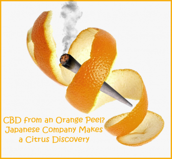 CBD from an Orange Peel? Japanese Company Makes a Citrus Discovery