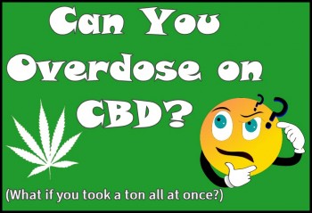 Can You Overdose on CBD? (What if take too much?)