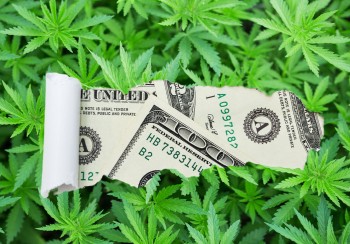 The IRS is NOT Going to Play Ball with Cannabis Companies on 280E Tax Refund Checks - Get Ready for Penalties and Interest!