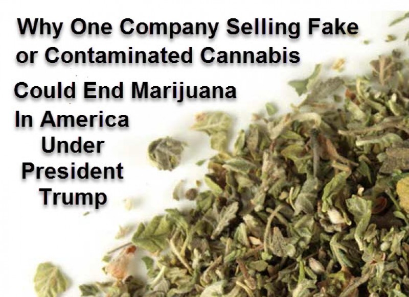 fake cannabis
