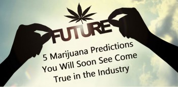 5 Cannabis Industry Predictions For 2019 and 2020