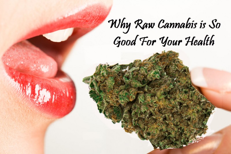 eating raw cannabis