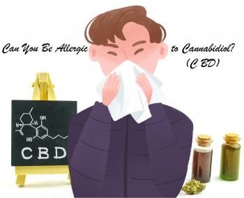 Can You Be Allergic to Cannabidiol (CBD)?