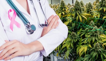 40% of Cancer Patients are Now Using Cannabis to Manage Symptoms? - The Growing Case for Cannabis for Cancer