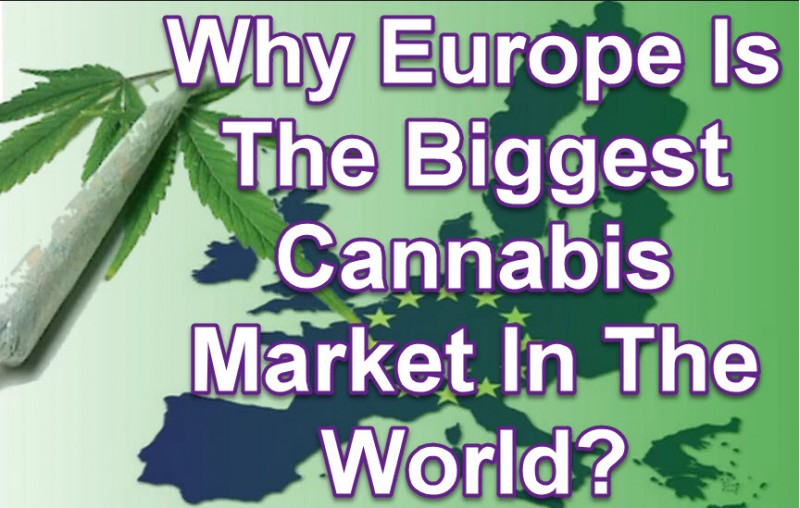european cannabis market