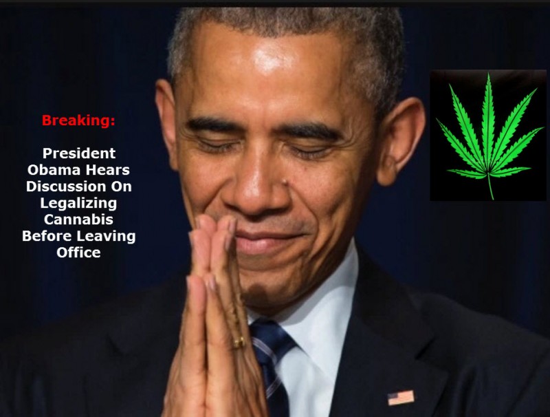 President Obama Marijuana