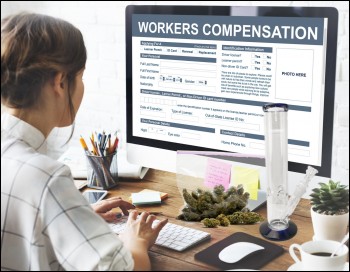 Why are There Fewer Worker's Compensation Claims in States Where Marijuana is Legal?
