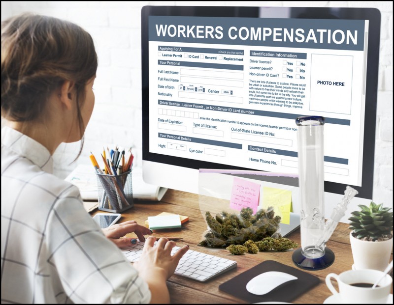 workers comp cannabis